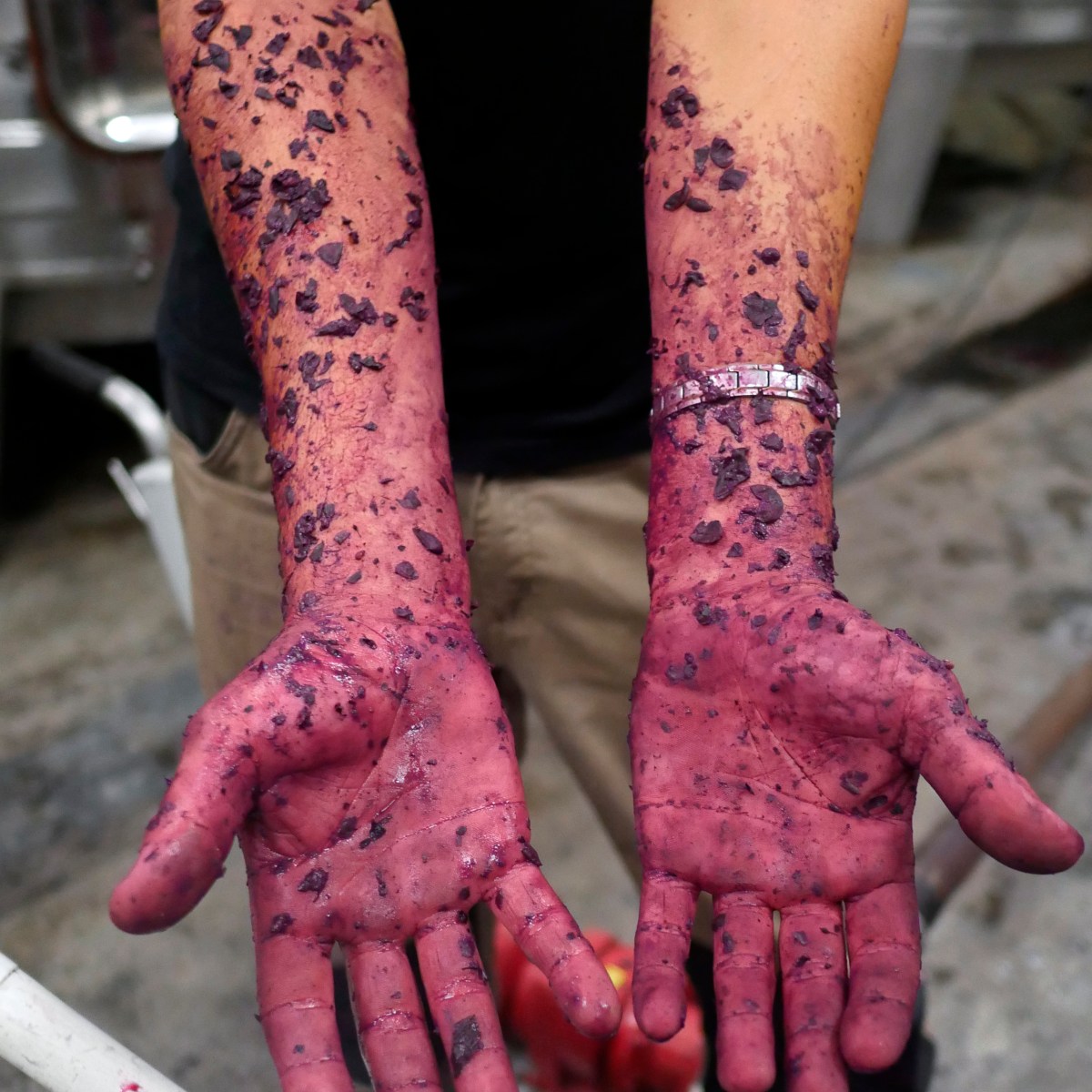 Esther BAPSALLE, Couleurs biosourcées: le cas de la&nbsp;vigne