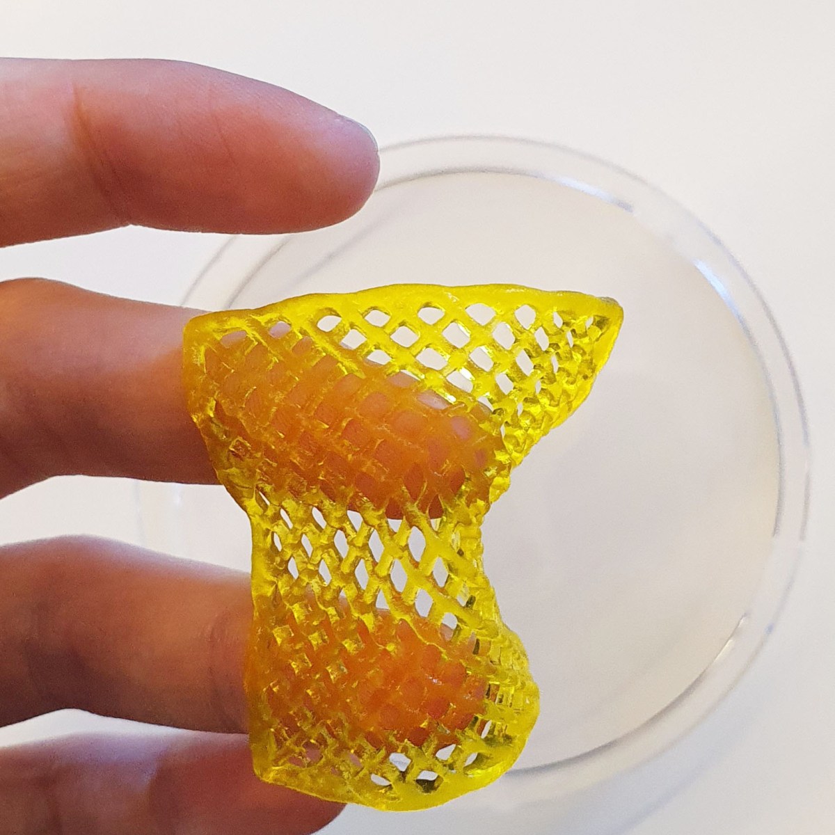 Clara MARTINI – Healing&nbsp;Skin